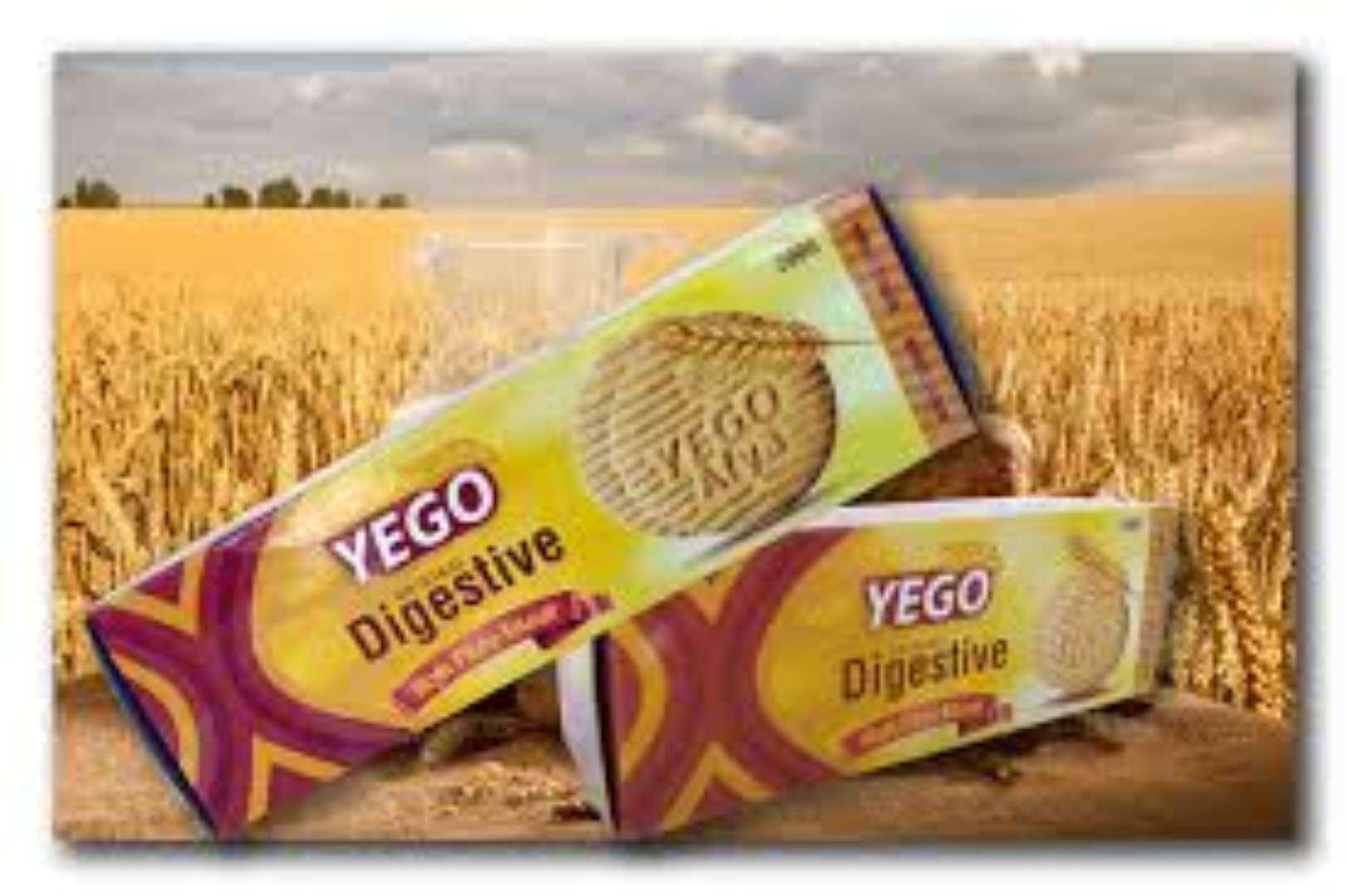 YEGO DIGESTIVE 100G